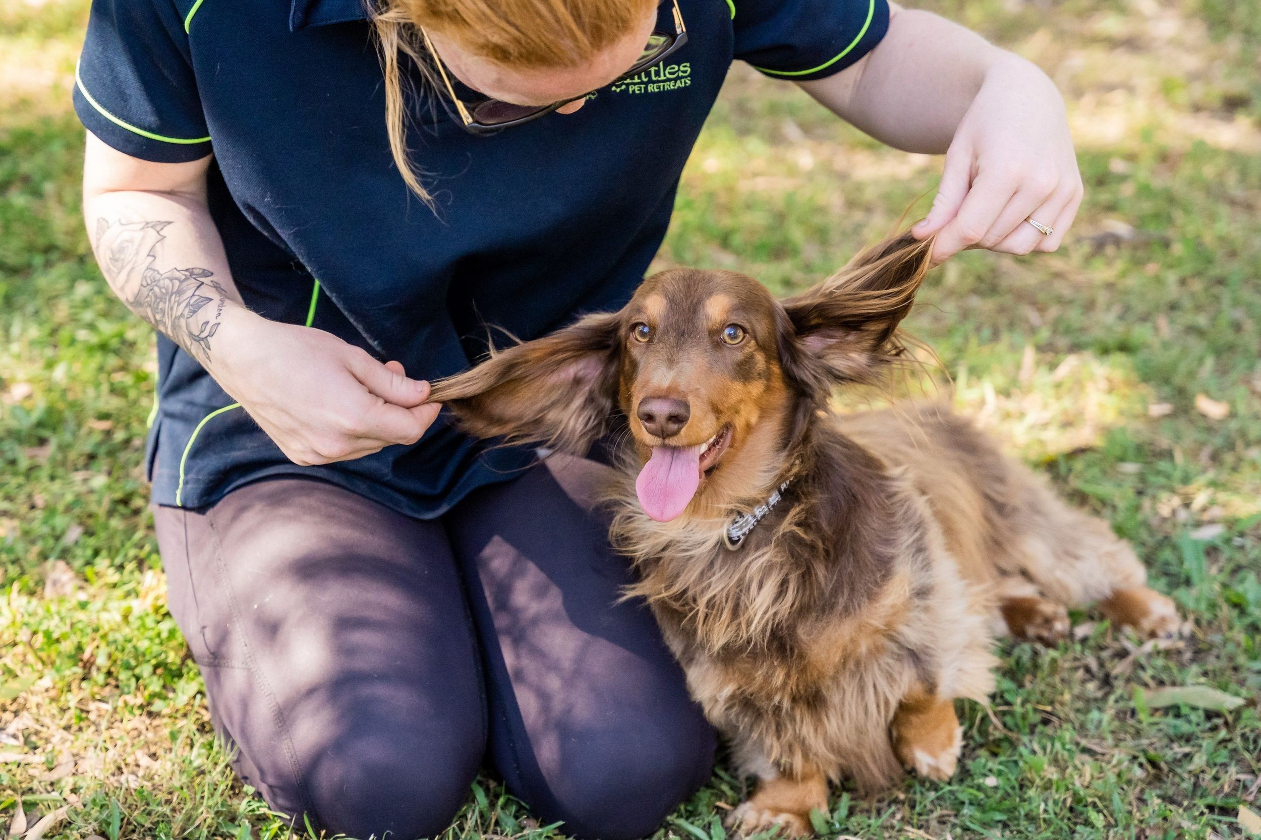 A happy dog getting love and cuddles from a pet carer.