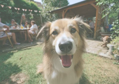 A dog at a family BBQ in the garden.