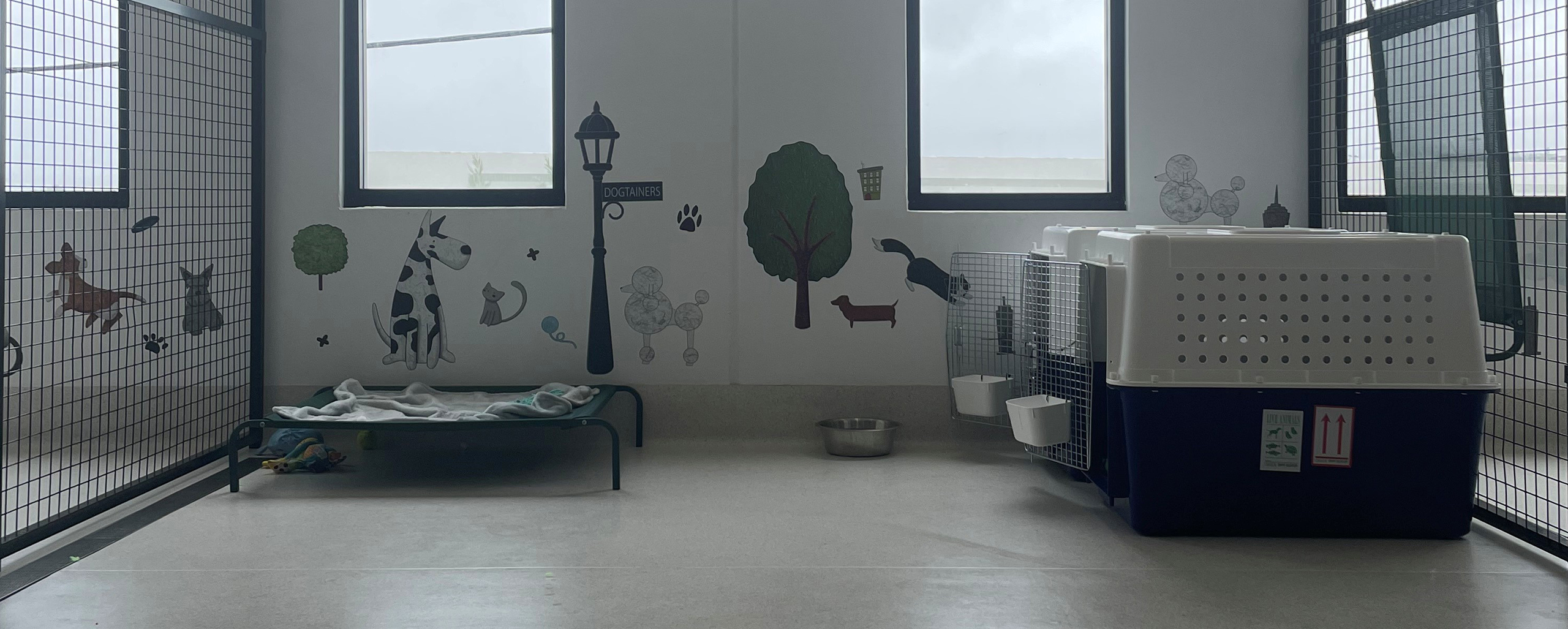 Four dogs playing at doggy day care.